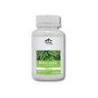 MORINGA-