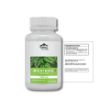 MORINGA-